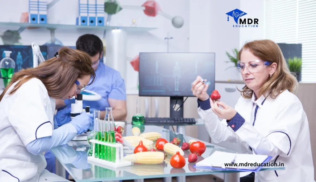 PhD in Food Technology 2025: Three High-Yielding Professions